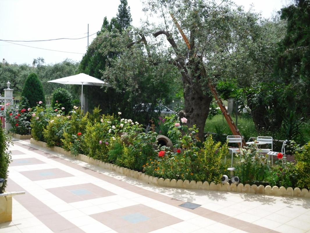 Ioli Apartments Limenas  Exteriér fotografie
