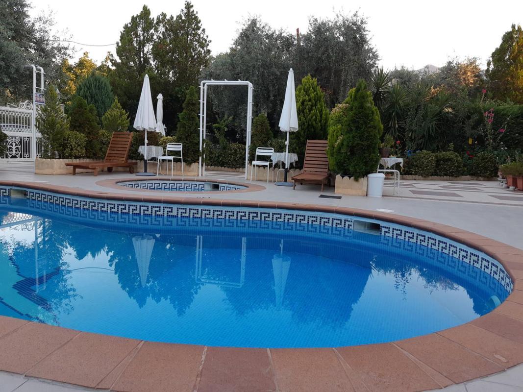 Ioli Apartments Limenas  Exteriér fotografie